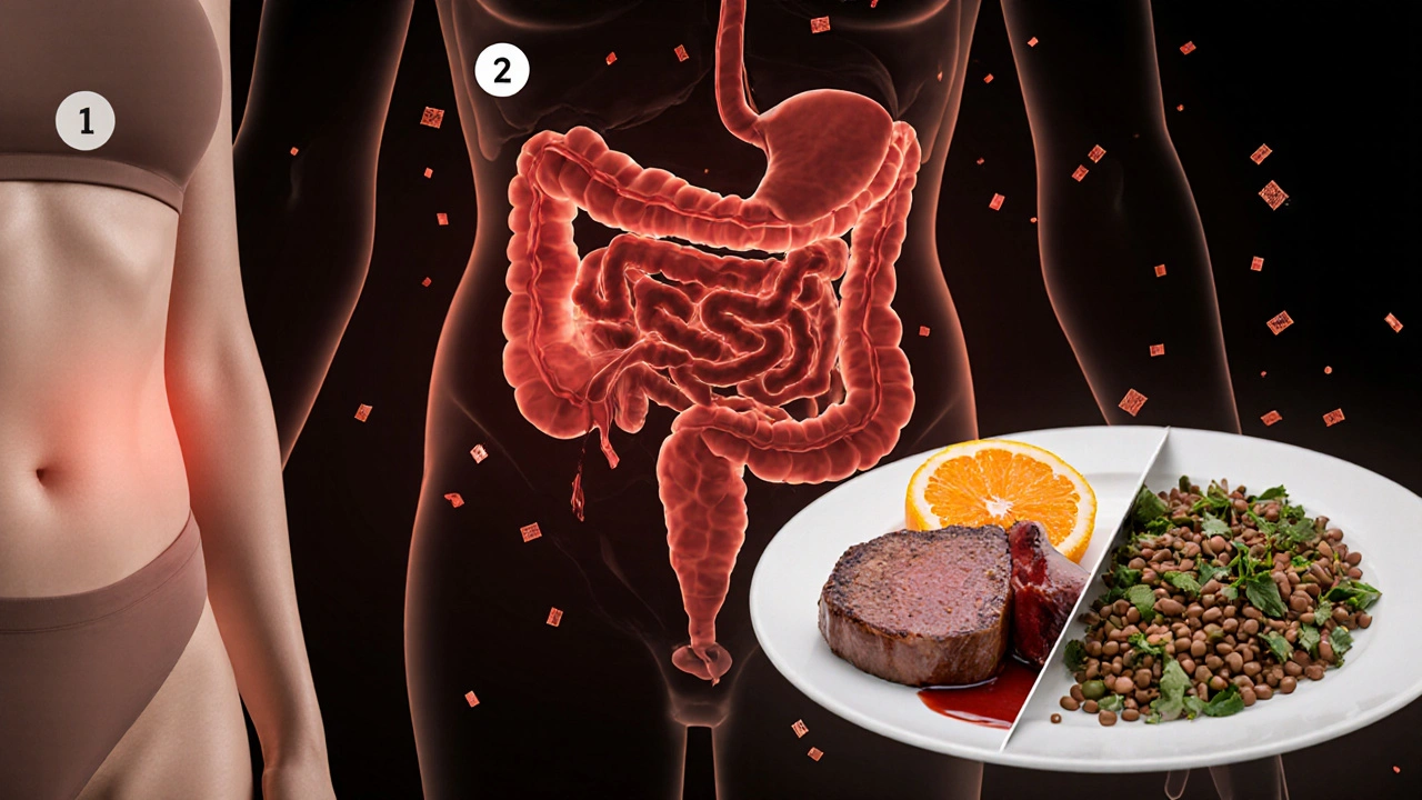Collage showing heavy menstrual flow, gut ulcer bleeding, and iron‑rich foods as anemia triggers.